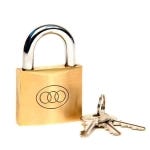Tri Circle Padlock - 20mm - Polished Brass - Security Solutions